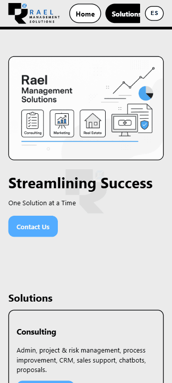 Rael Management Solutions Consulting Web mobile view